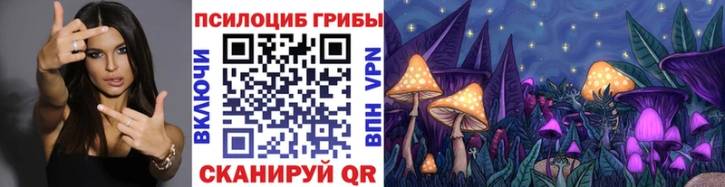 купить наркотики сайты  Аша  Галлюциногенные грибы Magic Shrooms 